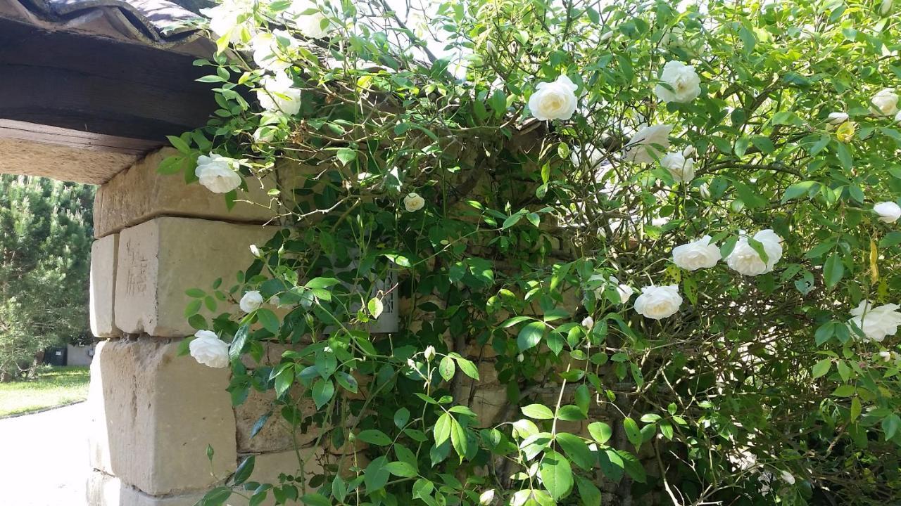Fontet Le Clos D'Any المظهر الخارجي الصورة